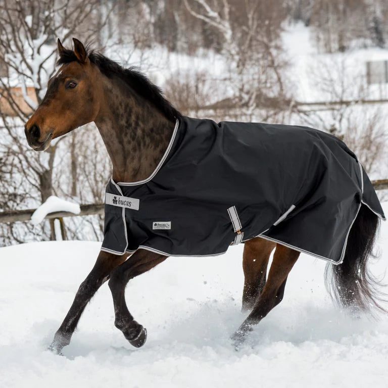 Bucas Anniversary Turnout