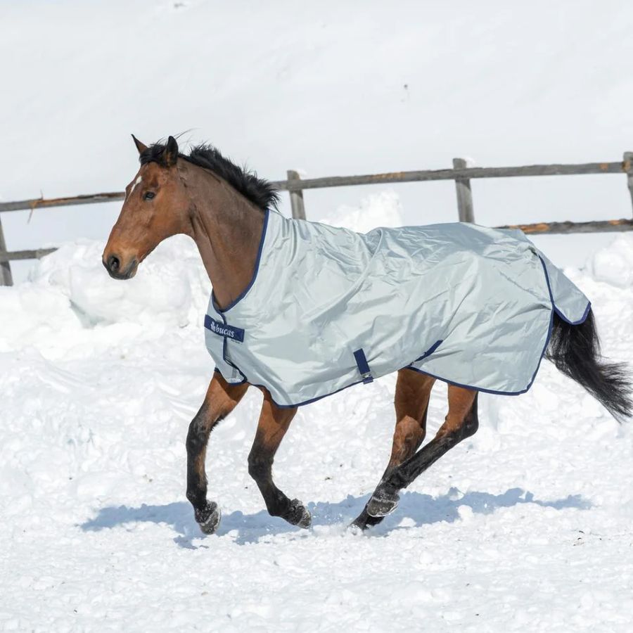 Bucas Power Turnout Horse Rug | Waterproof & Breathable 1680D