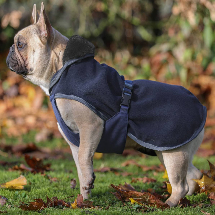 Bucas Show-Line Dog Rug