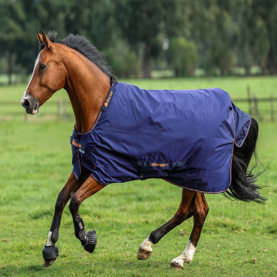 Bucas Therapy Turnout