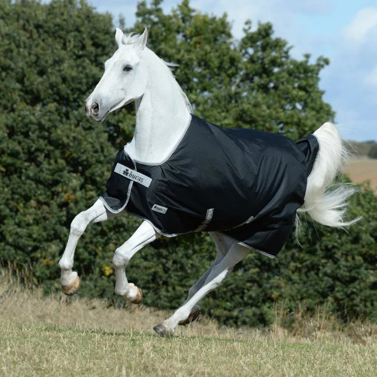Horse Rugs