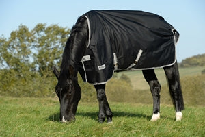 Bucas Anniversary Turnout