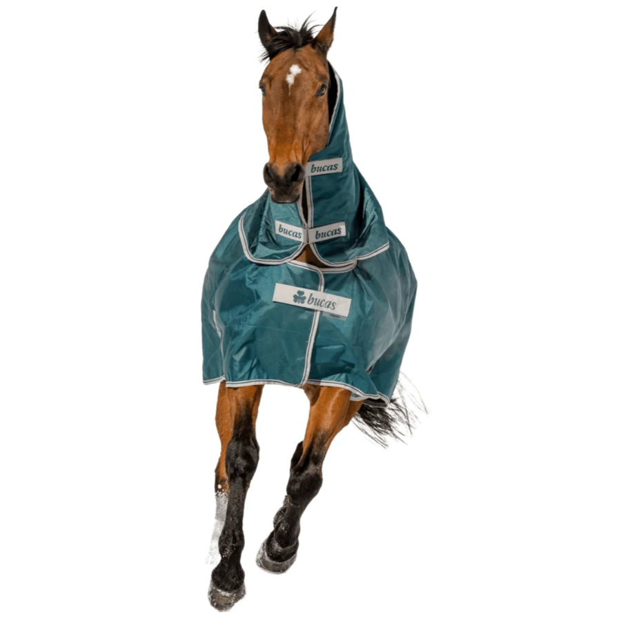 Horse wearing Bucas Atlantic Turnout Neck and rug in Atlantic green, demonstrating fit and coverage.”