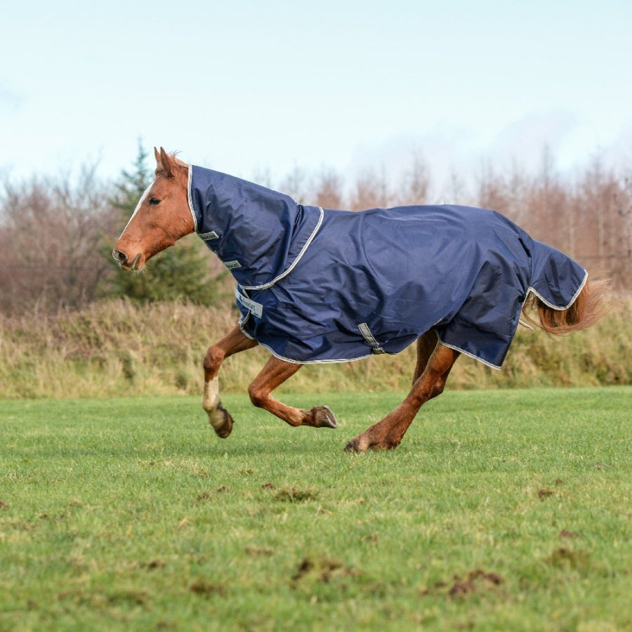 Bucas Atlantic Turnout Neck 300g navy horse turnout neck cover attached to turnout rug in pasture.”