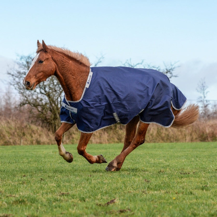 Bucas Atlantic Turnout waterproof horse rug with neck attachment points