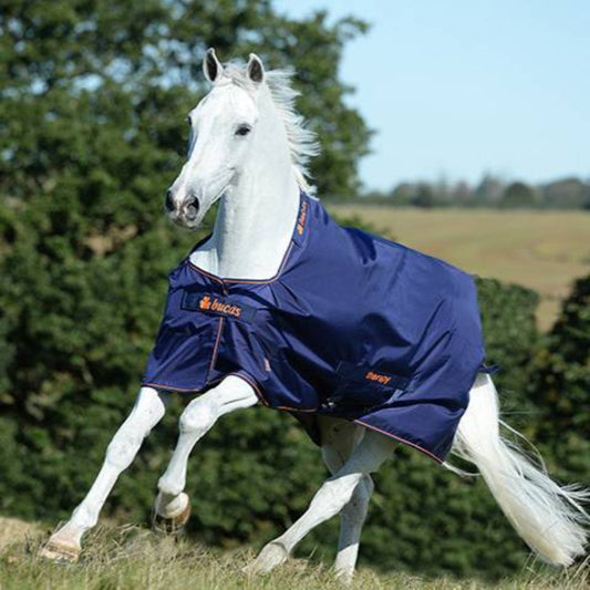 Bucas Therapy Turnout