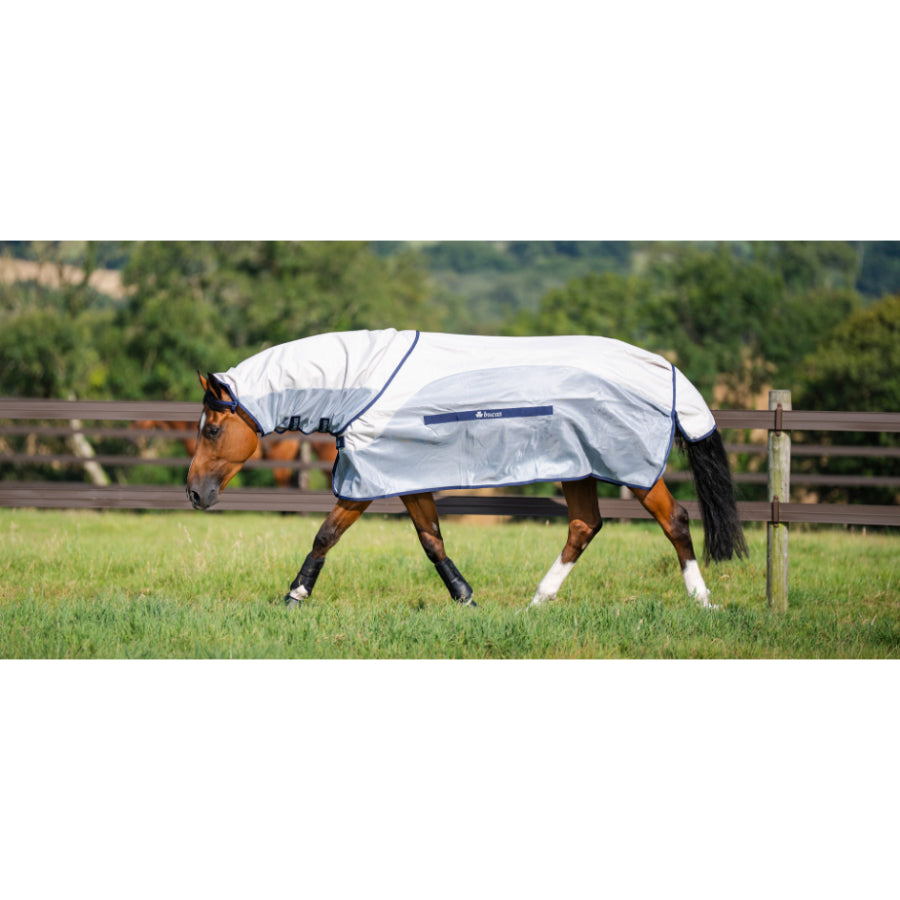 Bucas Buzz-Off Rain & Neck fly rug on horse showing waterproof upper and mesh lower for summer protection