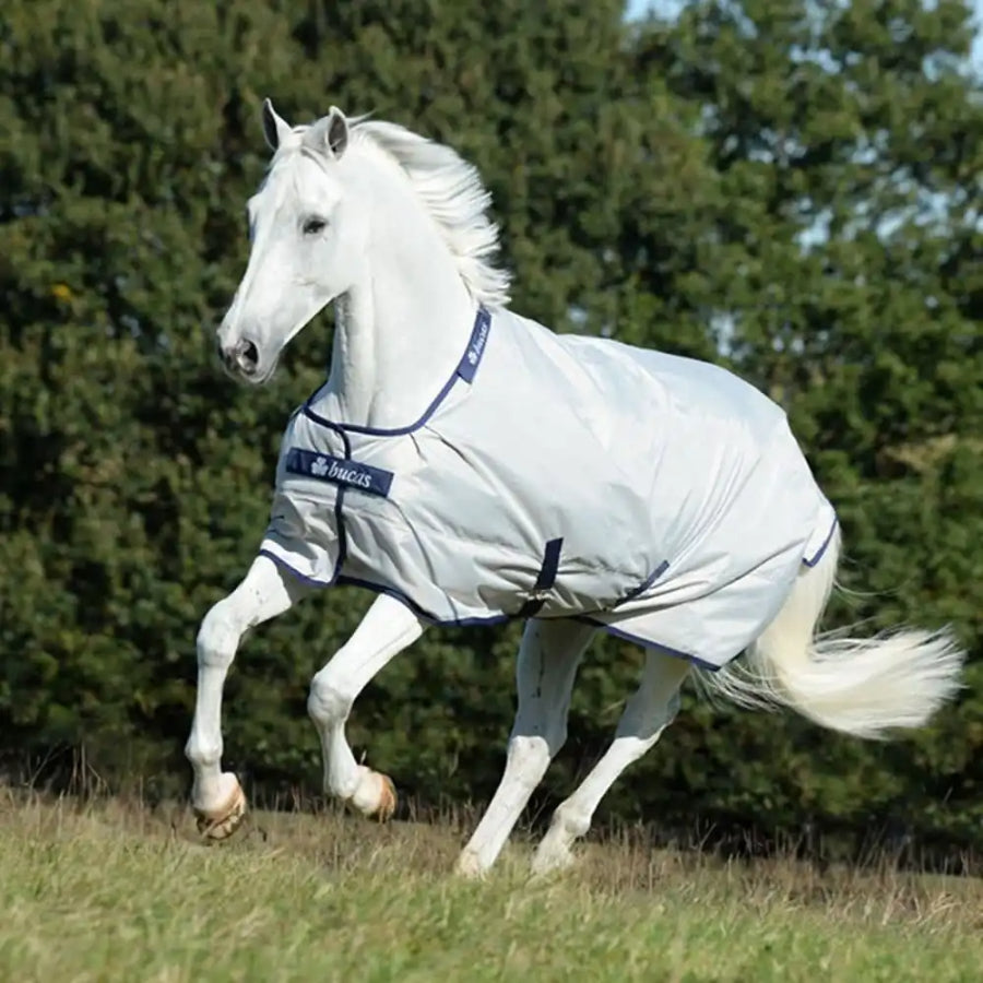 Bucas Sun Shower lightweight turnout rug in silver on horse, waterproof and breathable