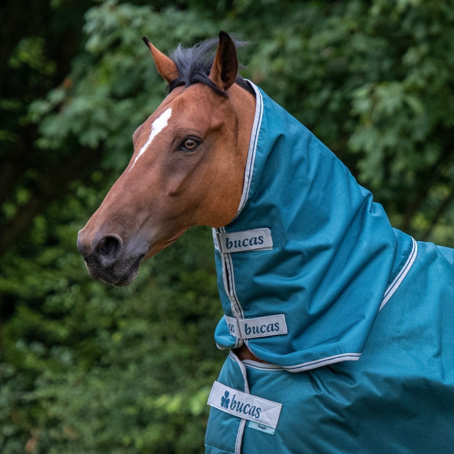 Close-up of Bucas Atlantic Turnout Combi-Neck showing high neck design and fastenings.”
Description: Focuses on the neck cover detailing — useful for showing construction and attachment points.