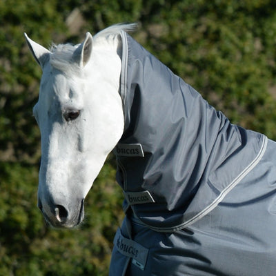 White horse wearing a gray fly mask with a blurred green background
