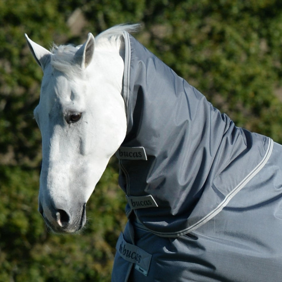 White horse wearing a gray fly mask with a blurred green background