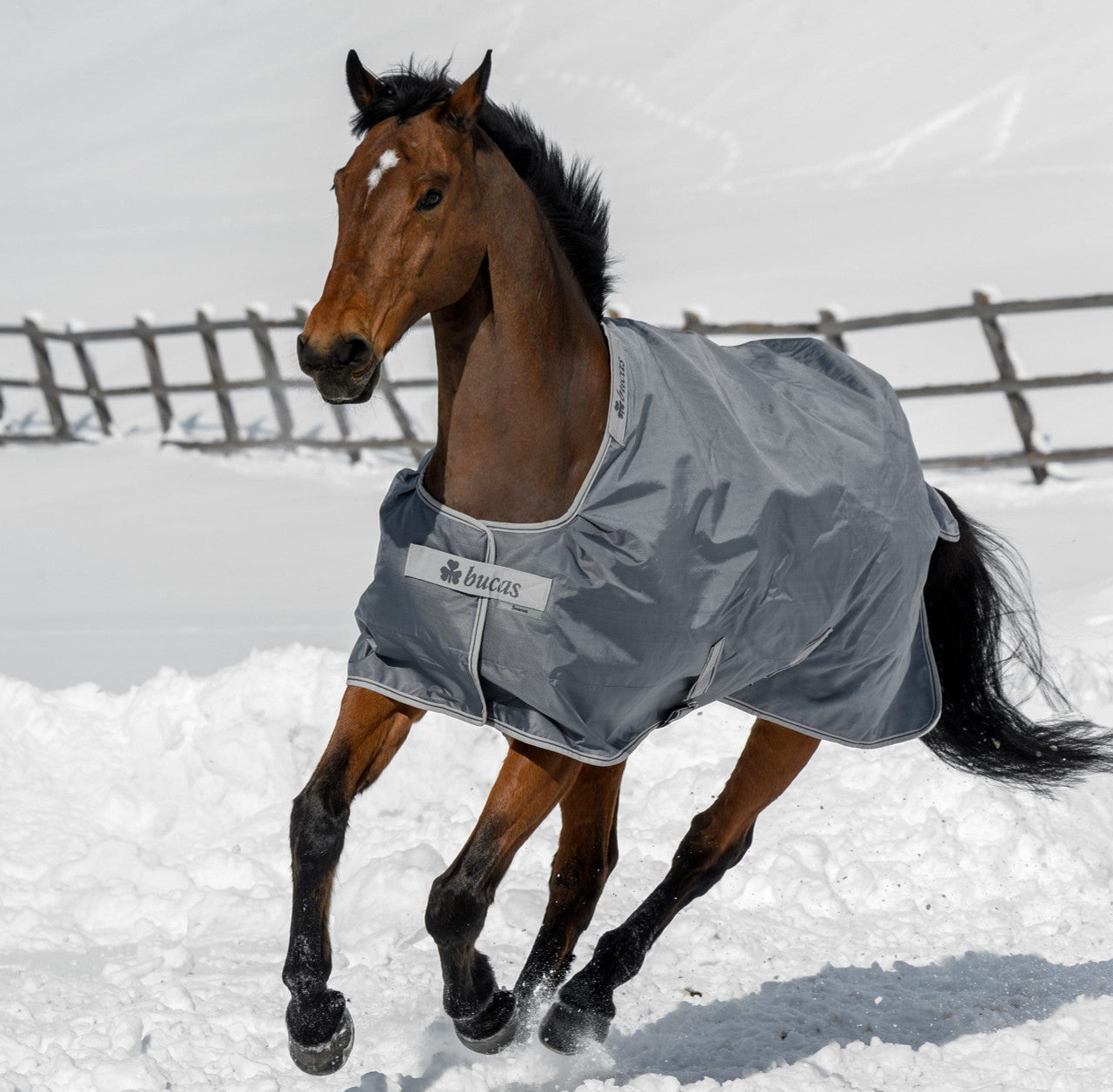 Bucas Smartex Turnout Rug – Waterproof, Breathable & Ultra-Durable