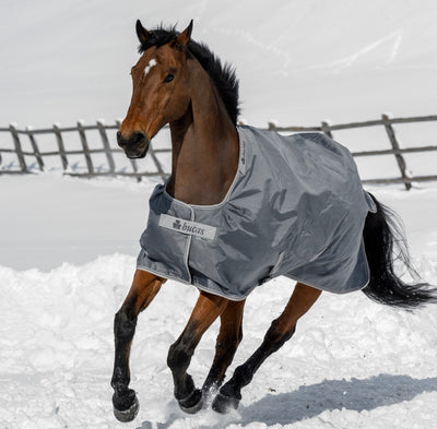 Bucas Smartex Turnout Rug – Waterproof, Breathable & Ultra-Durable