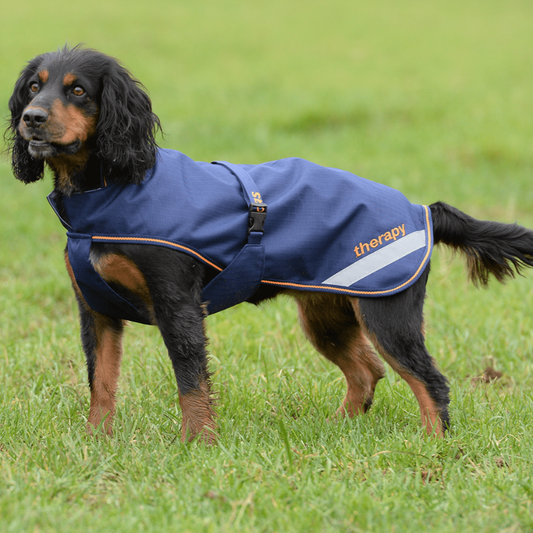 Bucas Therapy Dog Rug