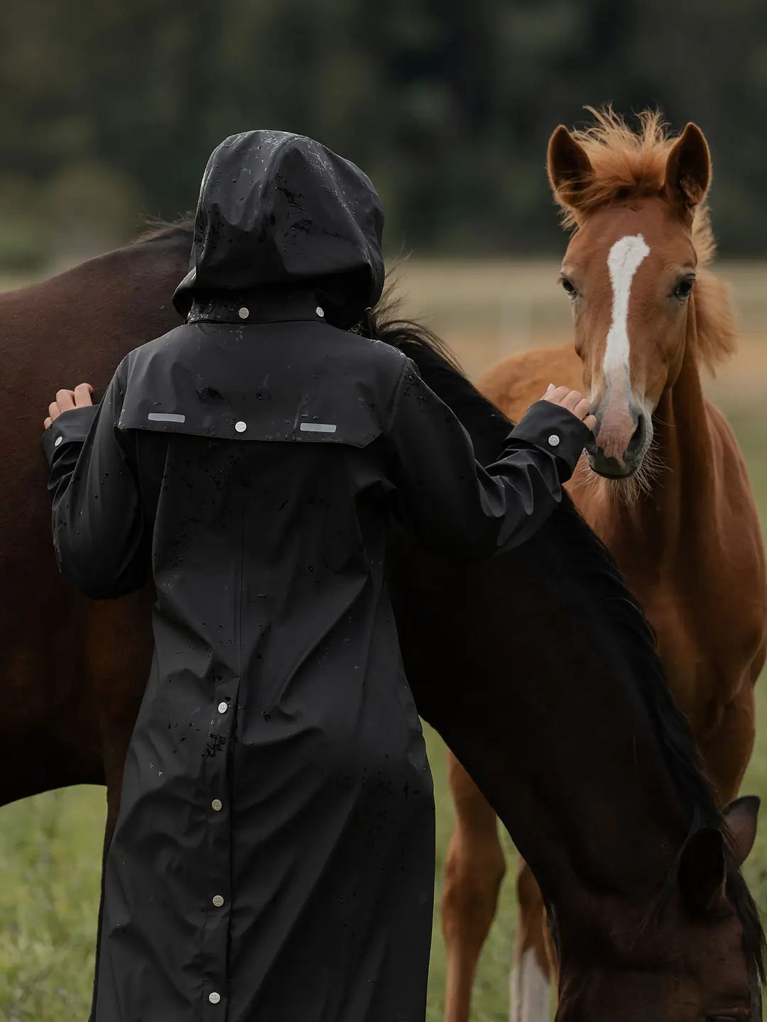 Uhip Winnie Raincoat Extended. Women’s Long Waterproof Riding & Outdoor Coat