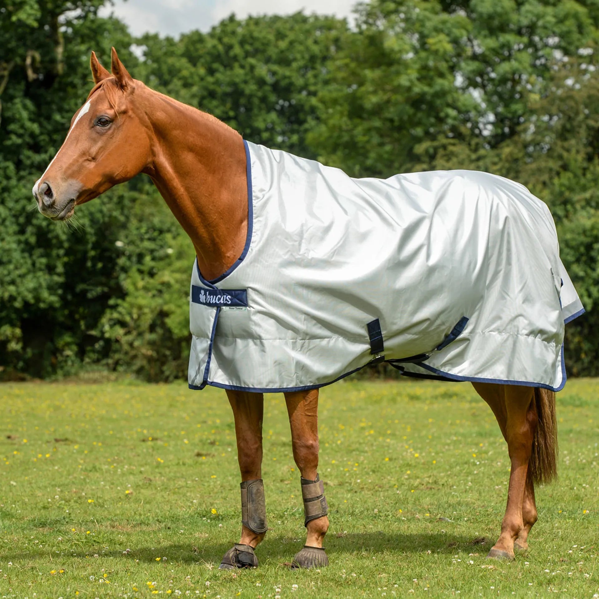 Bucas Power Turnout Horse Rug | Waterproof & Breathable 1680D
