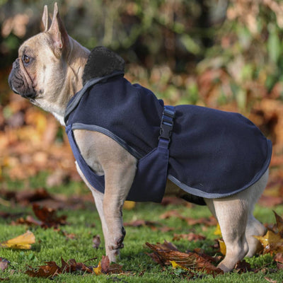 Bucas Show-Line Dog Rug