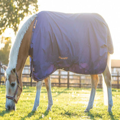 Bucas Therapy Turnout