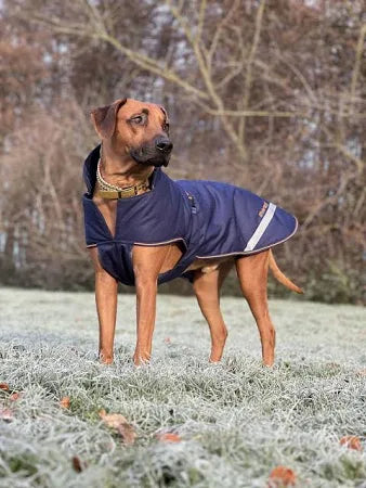 Bucas Therapy Dog Rug